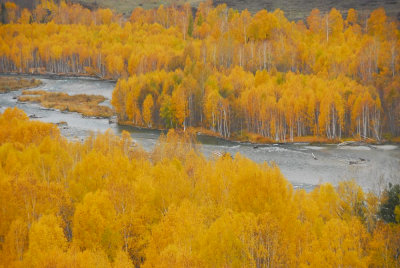 scence-2760.jpg