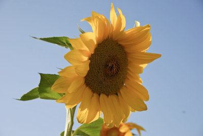 scence-0783.jpg