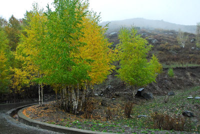 scence-2046.jpg