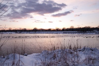 120260971_9eTIH9DE.jpg