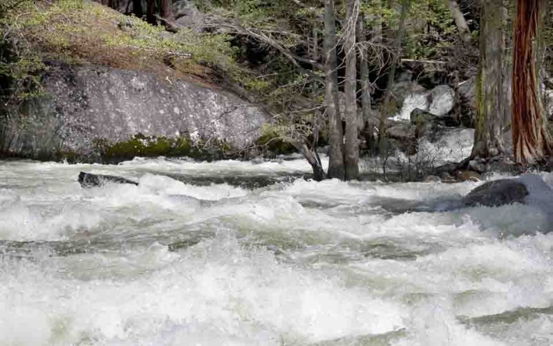The river wild