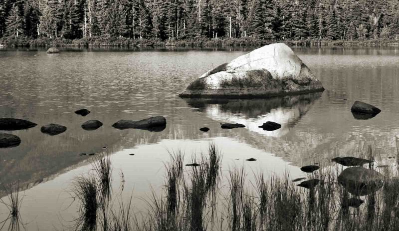 Sandy Stream Pond.
