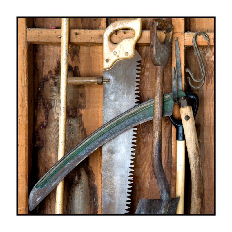 Tool shed still life.