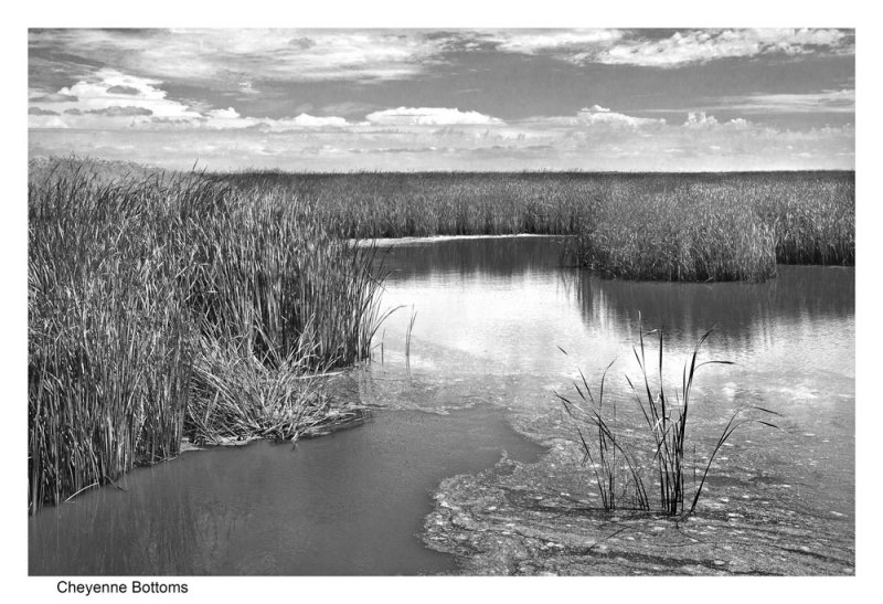 Cheyenne Bottoms,  KS