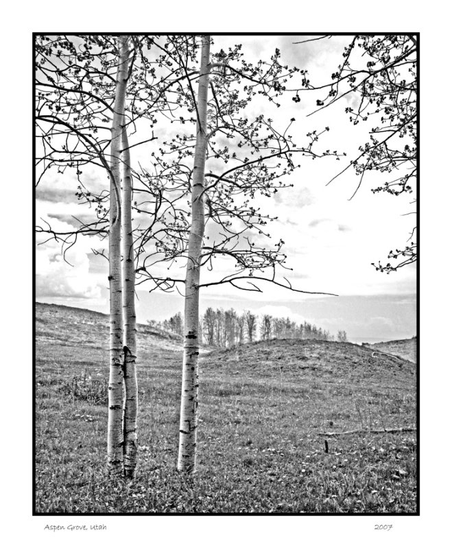 Aspen grove, UT