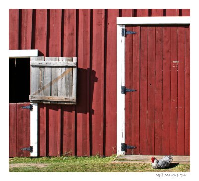 Red barn with rooster