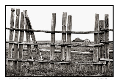 Mormon Row Fence, Yellowstone N.P.