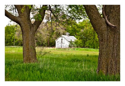 Woodland barn