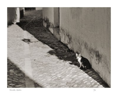 Cat in Spain 1991