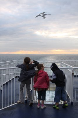 Dover to Calais kids feed.jpg