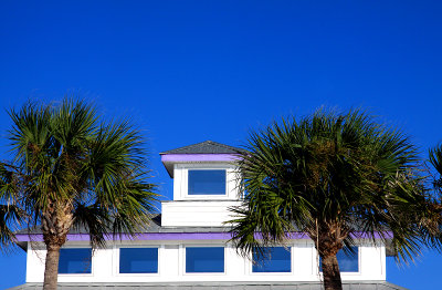 pavillion top.jpg