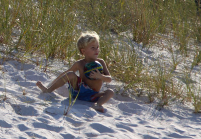 lost in turtle grass.jpg