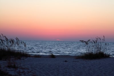 turtle grass sunset.jpg