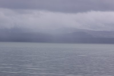 IMG_1295.JPG