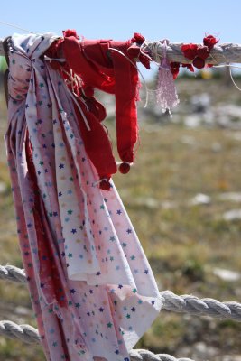 Offerings