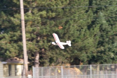 Nov 16 08 plane and gulls-51.jpg