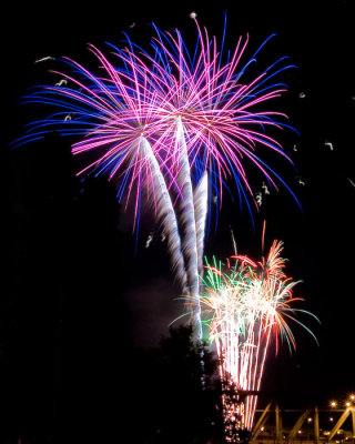 July 4 09 Portland Fireworks-32.jpg