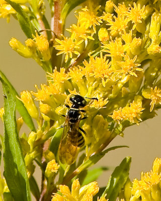 July 14 09 Burnt Bridge Trail-202.jpg