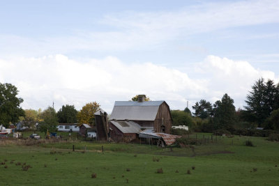 Oct 17 09 Barn and Animals-005-3.jpg