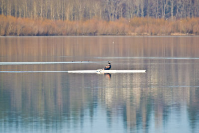 Feb 11 08 Vancouver Lake 1D-177.jpg