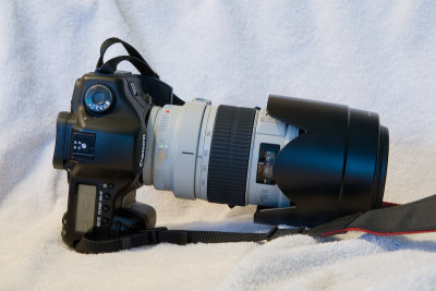 Feb 29 08 Macro Live View Test 1DM3-20.jpg
