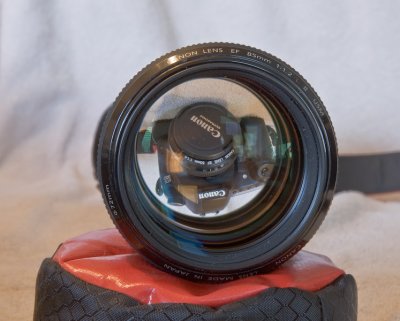 The Canon 85L: A View Within A View