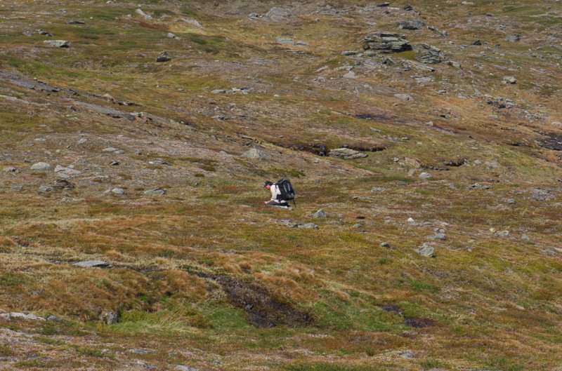 Abisko 100.jpg