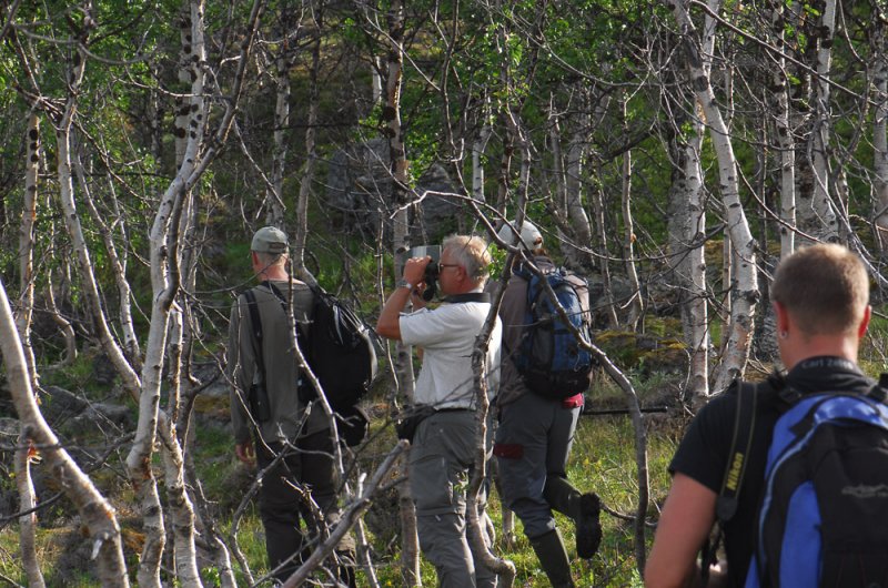 Abisko 143.jpg