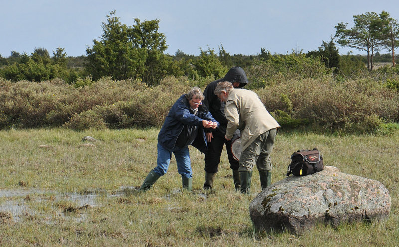 sep2010  049.jpg