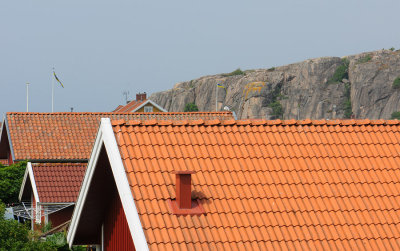 midsummer  014.jpg
