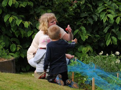 midsummer  071.jpg
