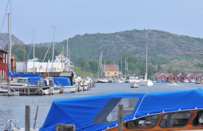 midsummer  138.jpg