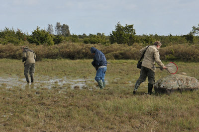 sep2010  035.jpg
