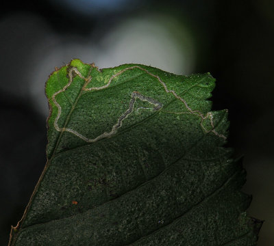 sep2010  056.jpg