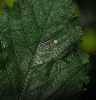 sep2010  057.jpg