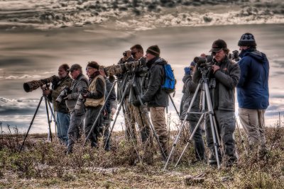 _DSC1013_4_5_tonemapped.jpg