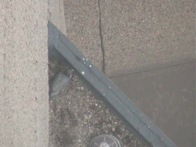 Checking Out the Ledge