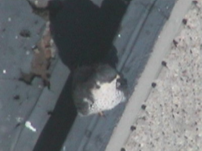 090410-1148-1.jpg