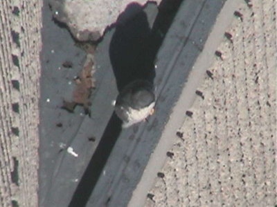 090410-1220-1.jpg