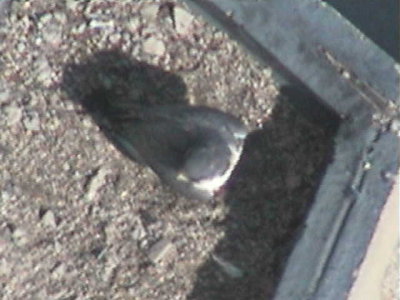 090414-1014-2.jpg
