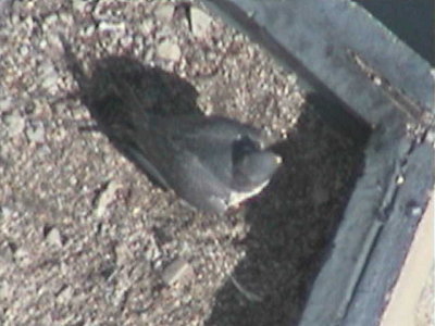 090414-1014-3.jpg