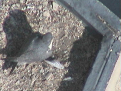 090414-1017-1.jpg