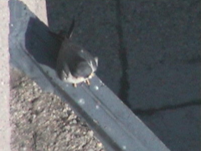 090414-1022-1.jpg