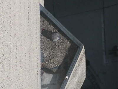 090421-0851-1.jpg