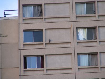 g1/11/791911/3/112749708.IqhPmQRb.jpg