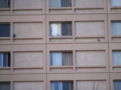 g1/11/791911/3/112749713.LC7FwfwV.jpg