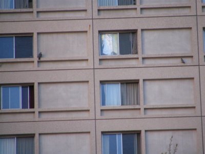 g1/11/791911/3/112749714.AzQ2ucqG.jpg