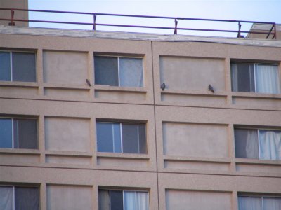 g1/11/791911/3/112749722.7i2iCVf8.jpg