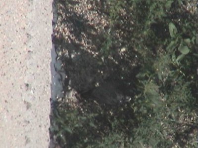 g1/11/791911/3/116507427.B9XVQMq6.jpg