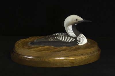 Pacific Loon